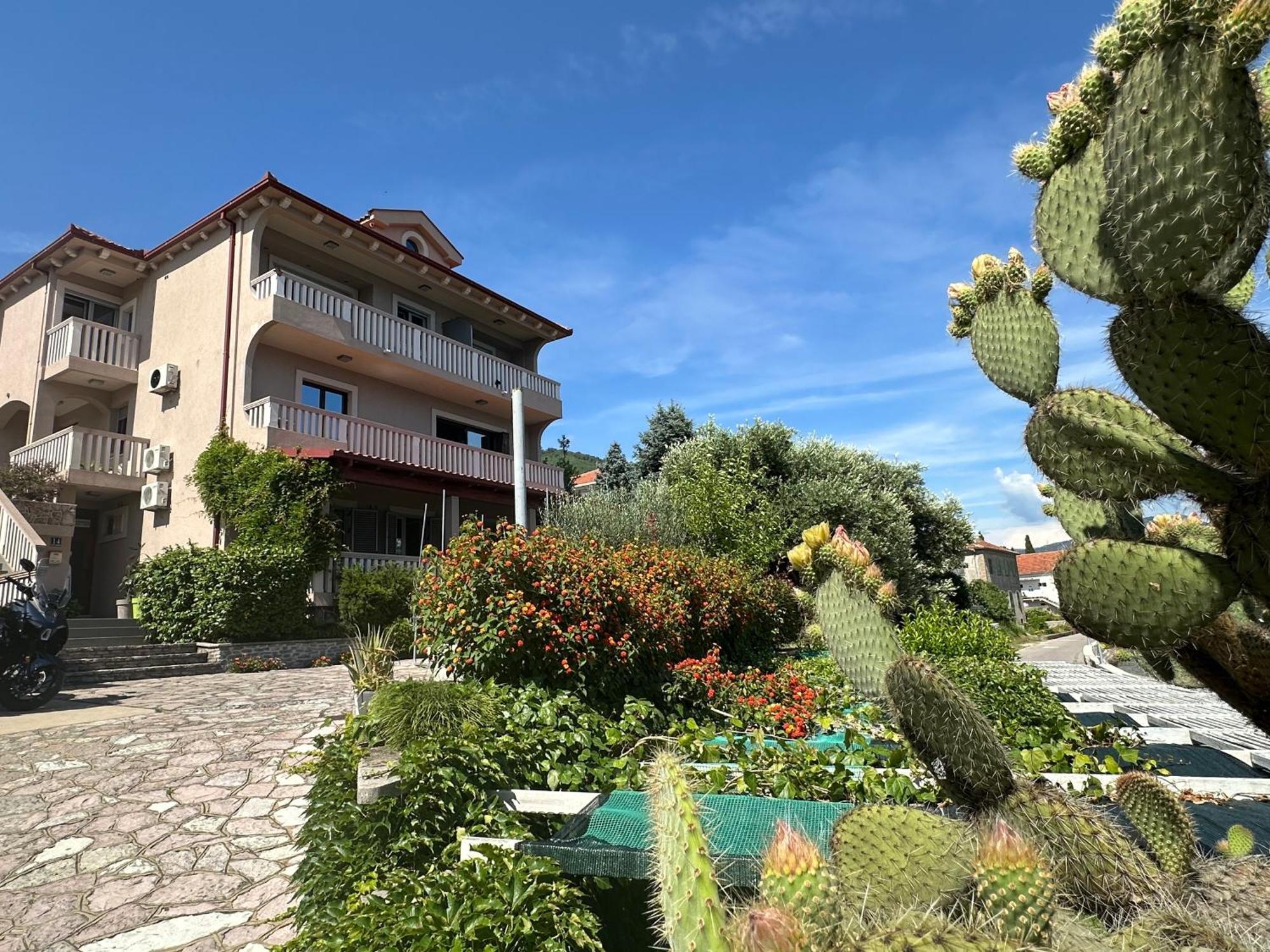 Vila Jadranka Apartments Herceg Novi Exteriör bild